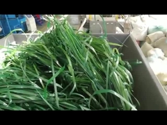 Jednorazowa maszynka do rozdrabniania materiałów miękkich